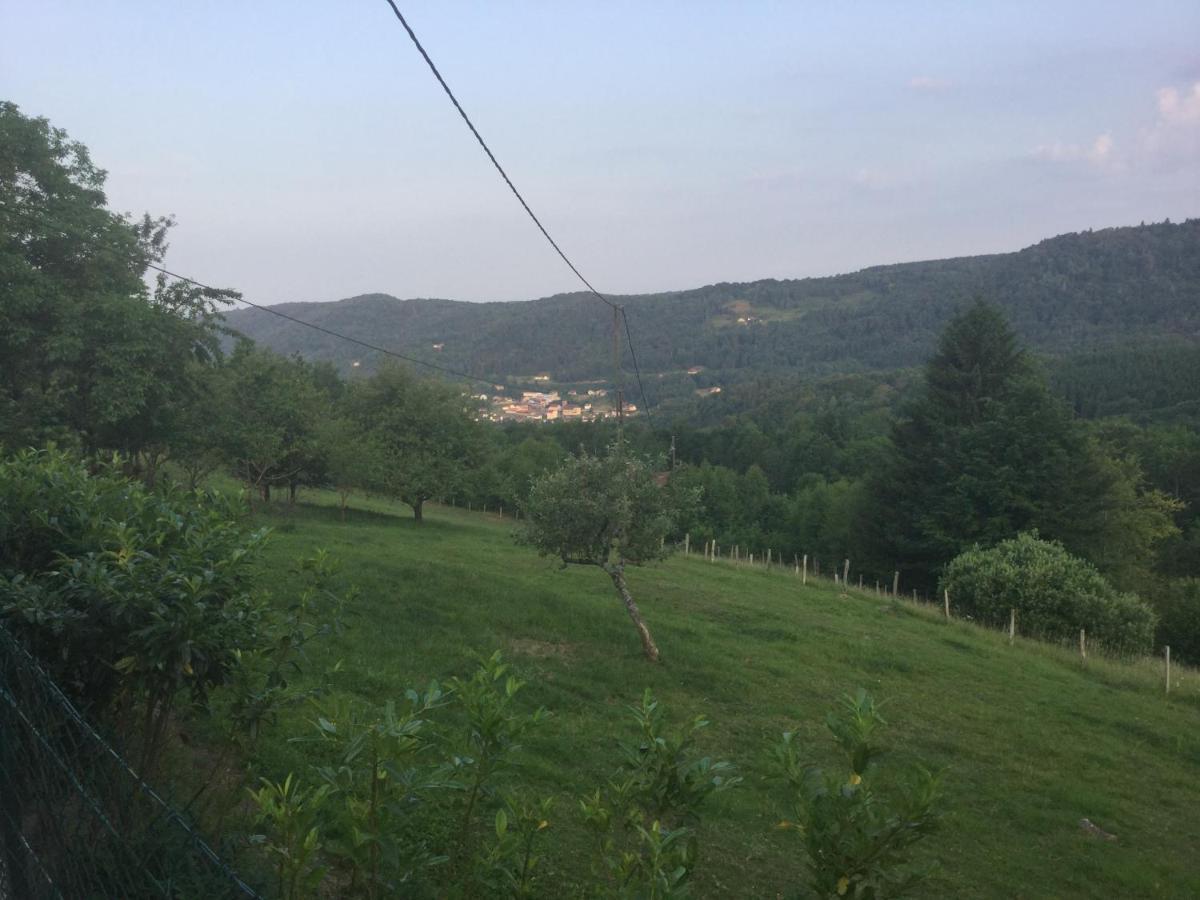 La Ferme De La-Haut B&B Le Haut-du-Them エクステリア 写真