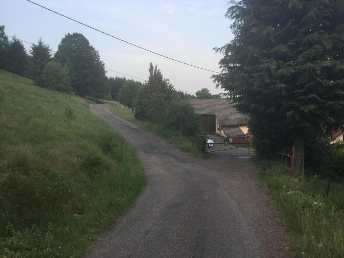 La Ferme De La-Haut B&B Le Haut-du-Them エクステリア 写真